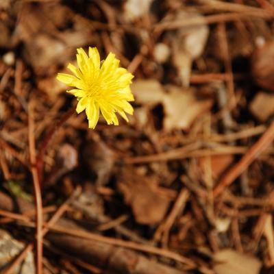 Прикрепленное изображение: flw_0021.jpg